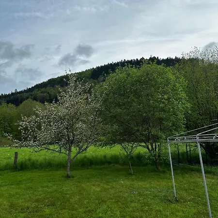 Spacieux Avec Grand Jardin Et Terrasse 1 A 8 Pers * Granges-sur-Vologne