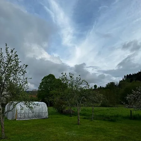 Spacieux Avec Grand Jardin Et Terrasse 1 A 8 Pers *