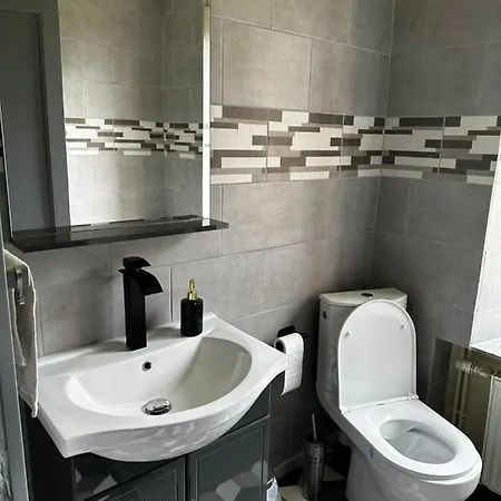 Spacieux Avec Grand Jardin Et Terrasse 1 A 8 Pers Apartment Granges-sur-Vologne