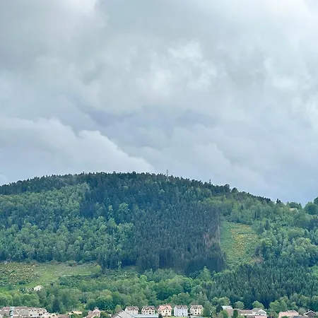 Spacieux Avec Grand Jardin Et Terrasse 1 A 8 Pers Apartmán Granges-sur-Vologne