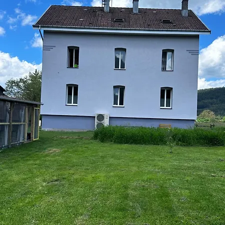 Spacieux Avec Grand Jardin Et Terrasse 1 A 8 Pers Granges-sur-Vologne