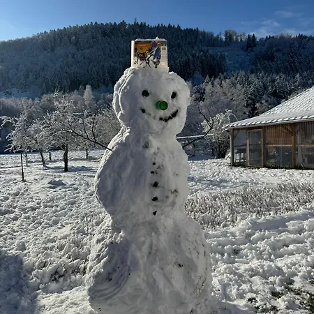 Апартаменты Spacieux Avec Grand Jardin Et Terrasse 1 A 8 Pers Granges-sur-Vologne