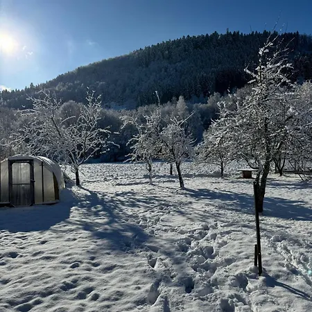 Апартаменты Spacieux Avec Grand Jardin Et Terrasse 1 A 8 Pers