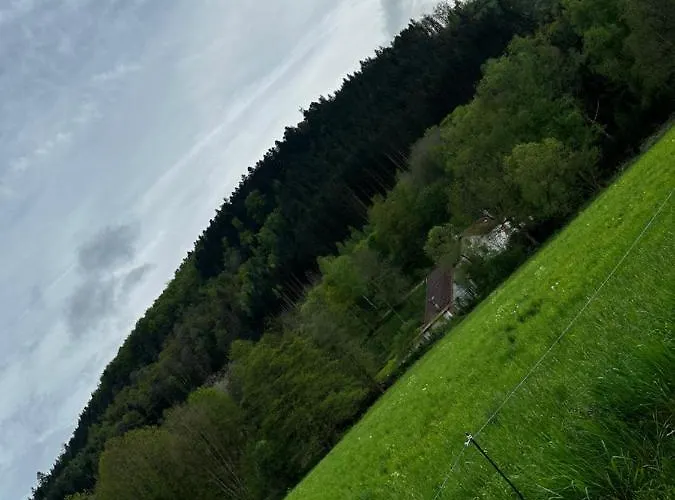 Spacieux Avec Grand Jardin Et Terrasse 1 A 8 Pers Апартаменты