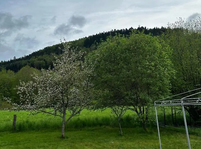 Spacieux Avec Grand Jardin Et Terrasse 1 A 8 Pers * Granges-sur-Vologne