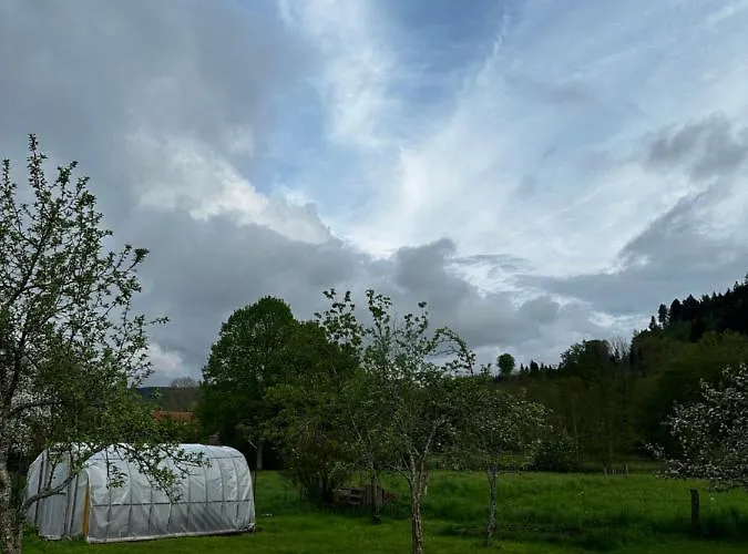 Spacieux Avec Grand Jardin Et Terrasse 1 A 8 Pers *