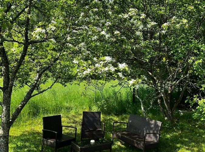 Spacieux Avec Grand Jardin Et Terrasse 1 A 8 Pers Granges-sur-Vologne