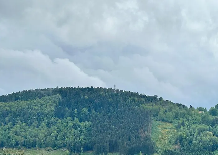 Spacieux Avec Grand Jardin Et Terrasse 1 A 8 Pers Apartmán Granges-sur-Vologne