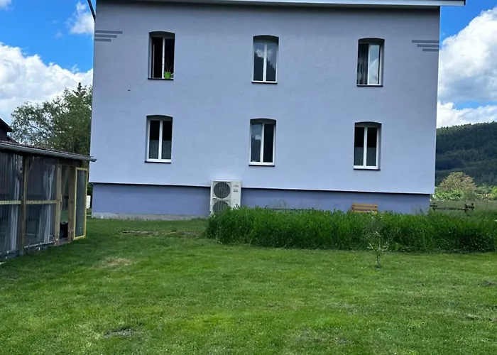 Spacieux Avec Grand Jardin Et Terrasse 1 A 8 Pers Granges-sur-Vologne