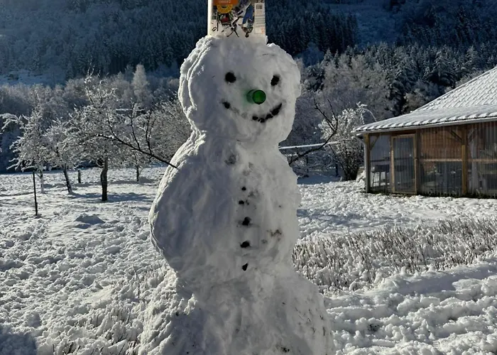 Апартаменты Spacieux Avec Grand Jardin Et Terrasse 1 A 8 Pers Granges-sur-Vologne